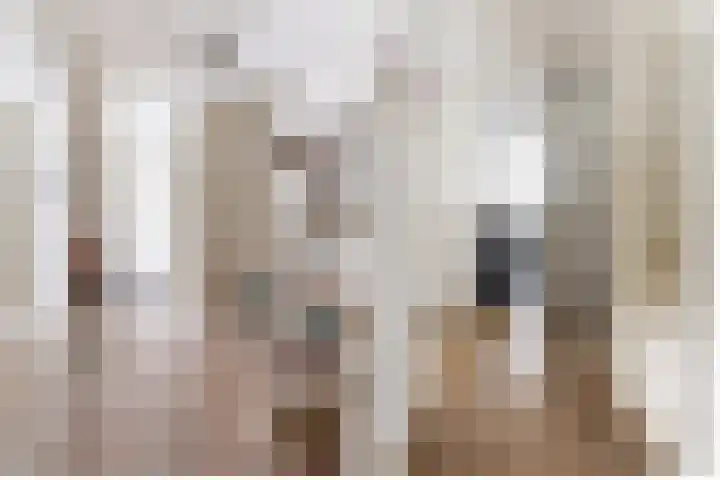 het Bovenwiel 15 Oirschot thumbnail 9