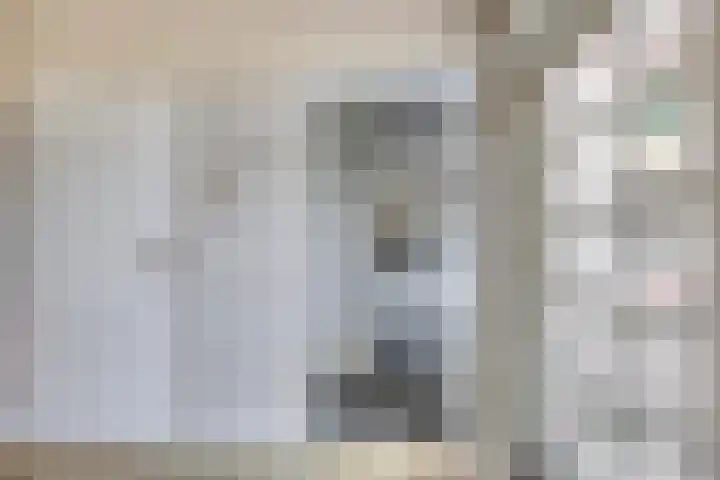 het Bovenwiel 2 Oirschot thumbnail 17