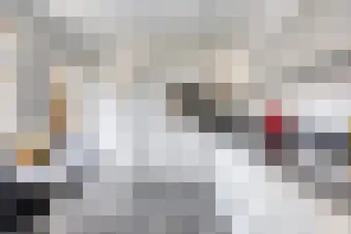 het Bovenwiel 2 Oirschot thumbnail 19