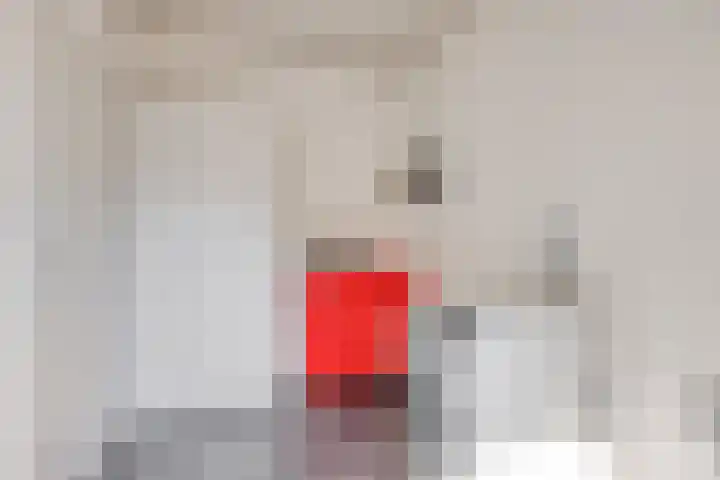 het Bovenwiel 2 Oirschot thumbnail 22