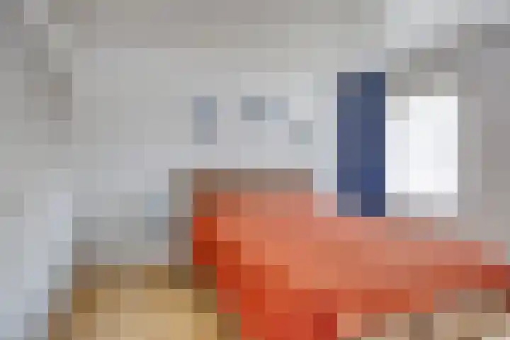 het Bovenwiel 2 Oirschot thumbnail 25
