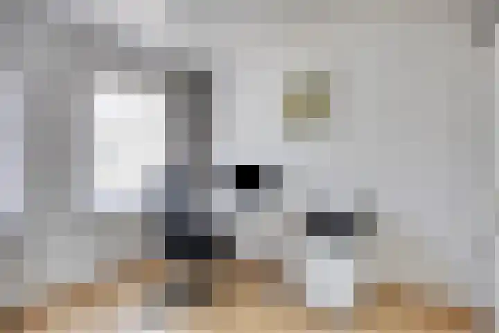 het Bovenwiel 2 Oirschot thumbnail 27