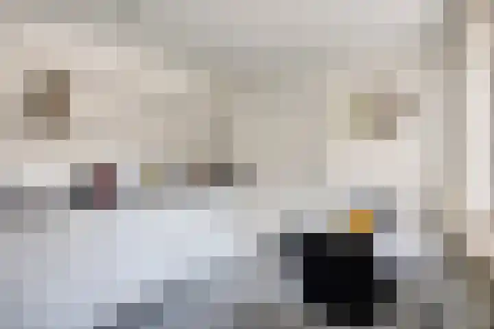 het Bovenwiel 2 Oirschot foto 3