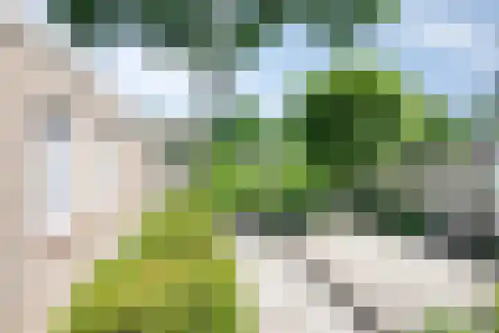het Bovenwiel 2 Oirschot thumbnail 36