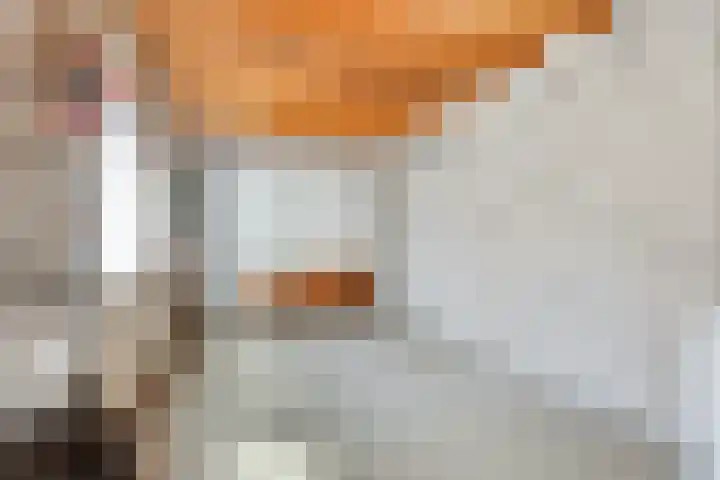 het Bovenwiel 2 Oirschot thumbnail 39