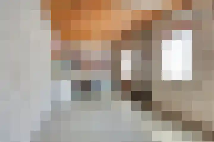 het Bovenwiel 2 Oirschot thumbnail 40