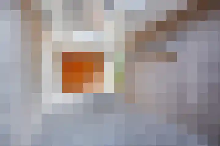 het Bovenwiel 2 Oirschot thumbnail 41
