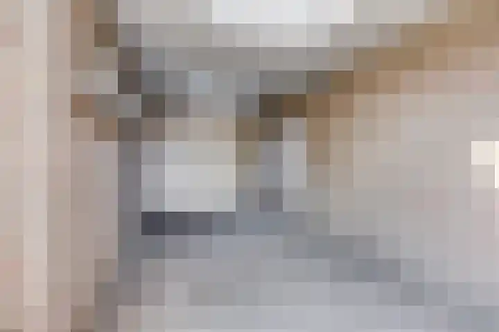 het Bovenwiel 2 Oirschot thumbnail 42