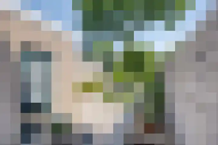 het Bovenwiel 2 Oirschot thumbnail 5