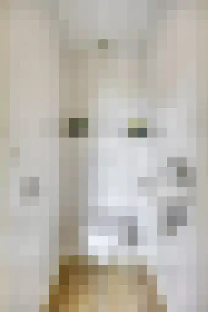 het Bovenwiel 2 Oirschot thumbnail 9