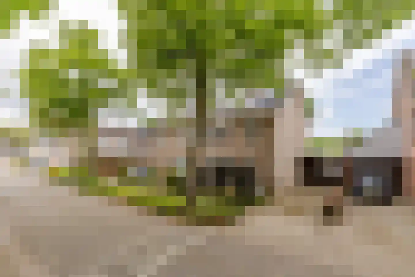 het Bovenwiel 4 in Oirschot
