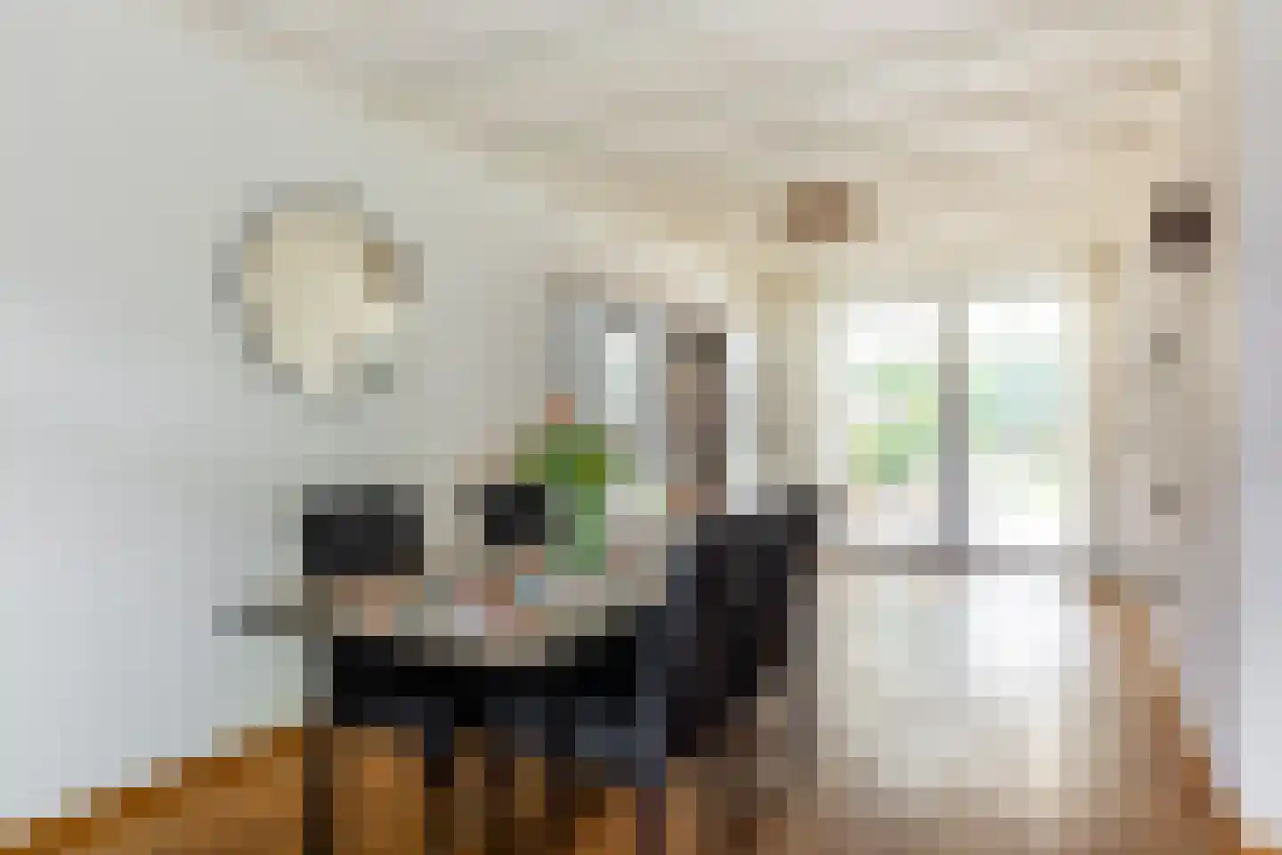 het Bovenwiel 4 Oirschot thumbnail 13