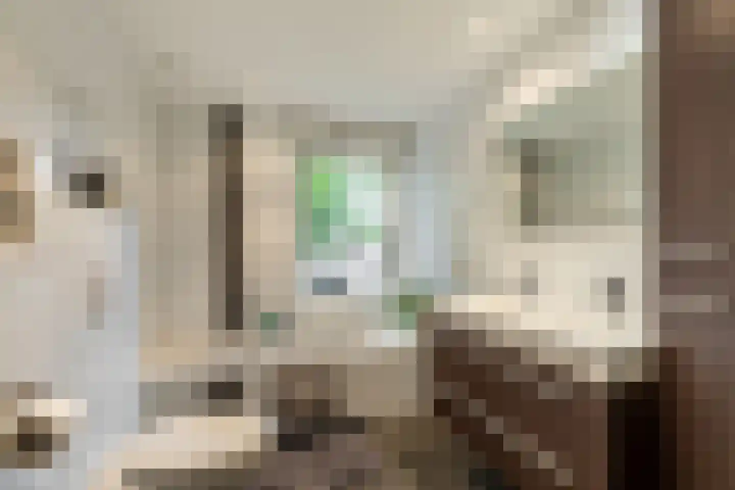 het Bovenwiel 4 Oirschot thumbnail 28