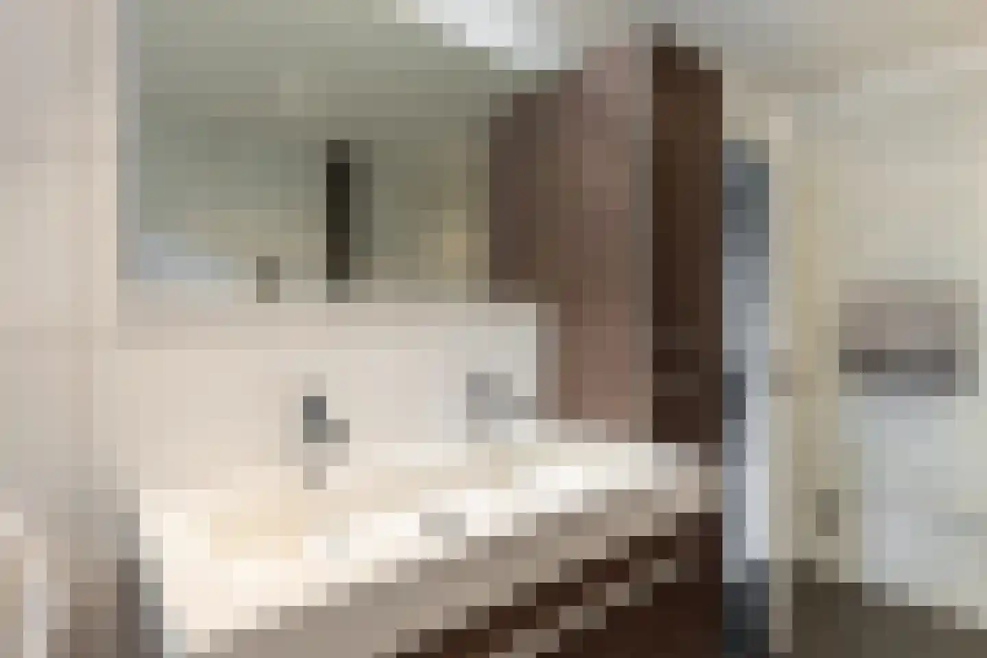 het Bovenwiel 4 Oirschot thumbnail 30