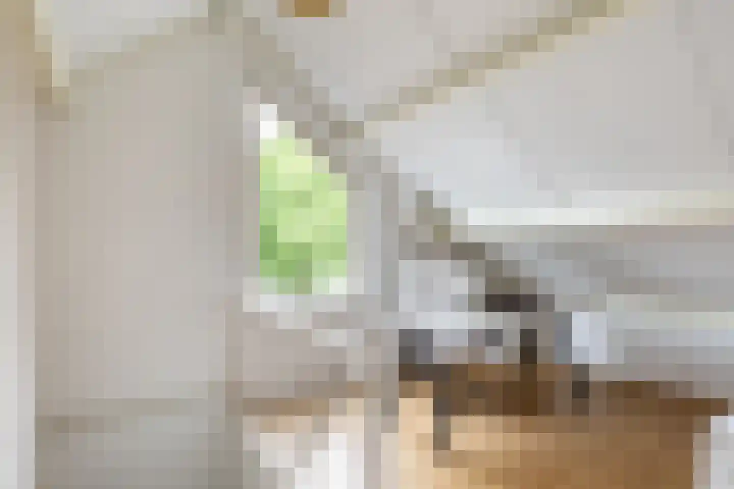 het Bovenwiel 4 Oirschot thumbnail 31