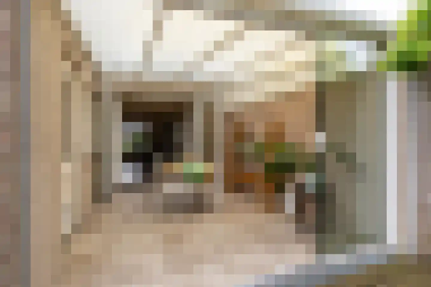 het Bovenwiel 4 Oirschot thumbnail 35