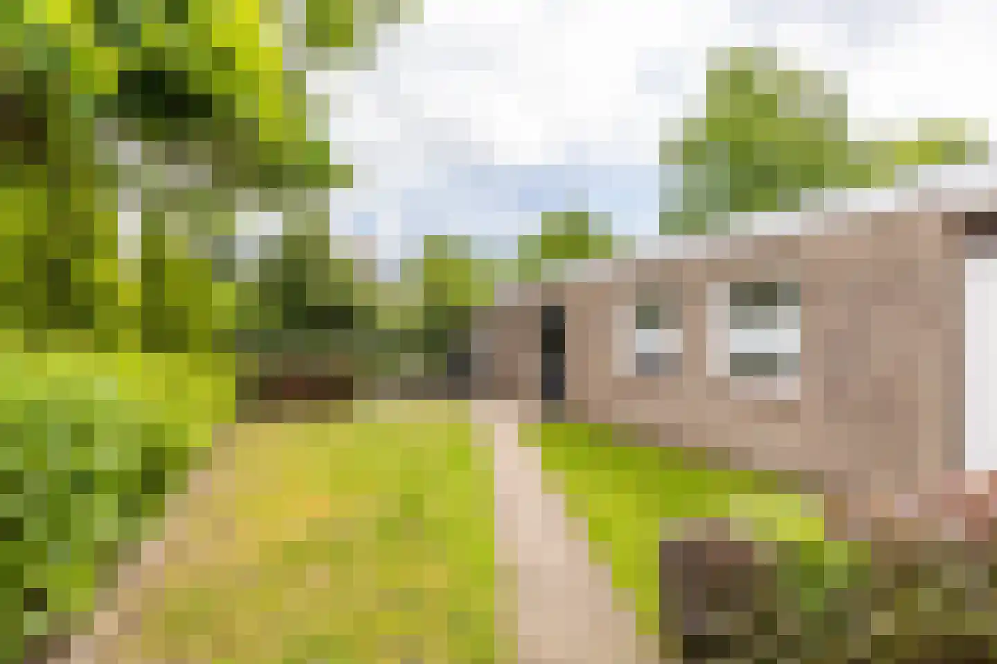 het Bovenwiel 4 Oirschot thumbnail 36
