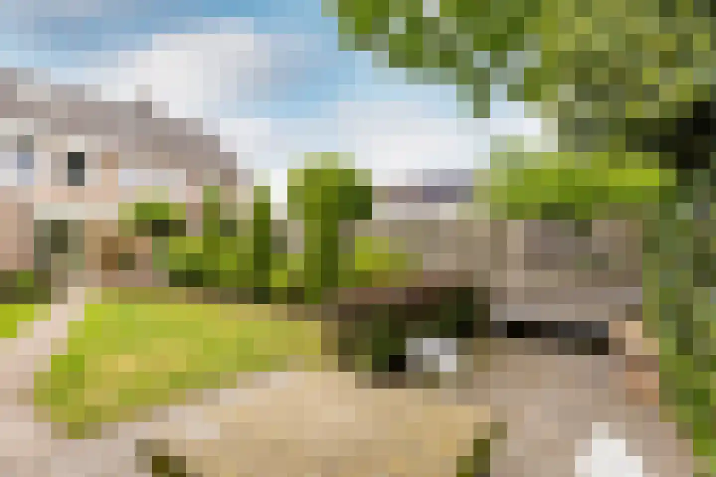 het Bovenwiel 4 Oirschot thumbnail 38