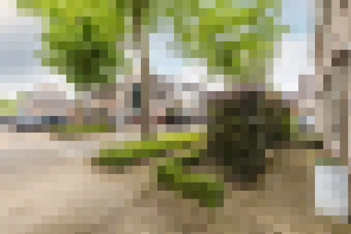 het Bovenwiel 4 Oirschot thumbnail 40