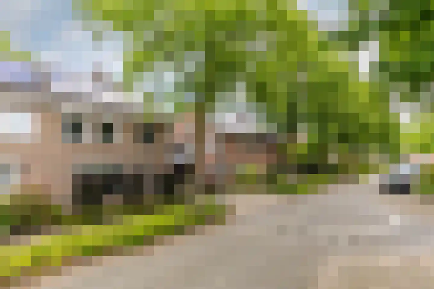 het Bovenwiel 4 Oirschot thumbnail 5