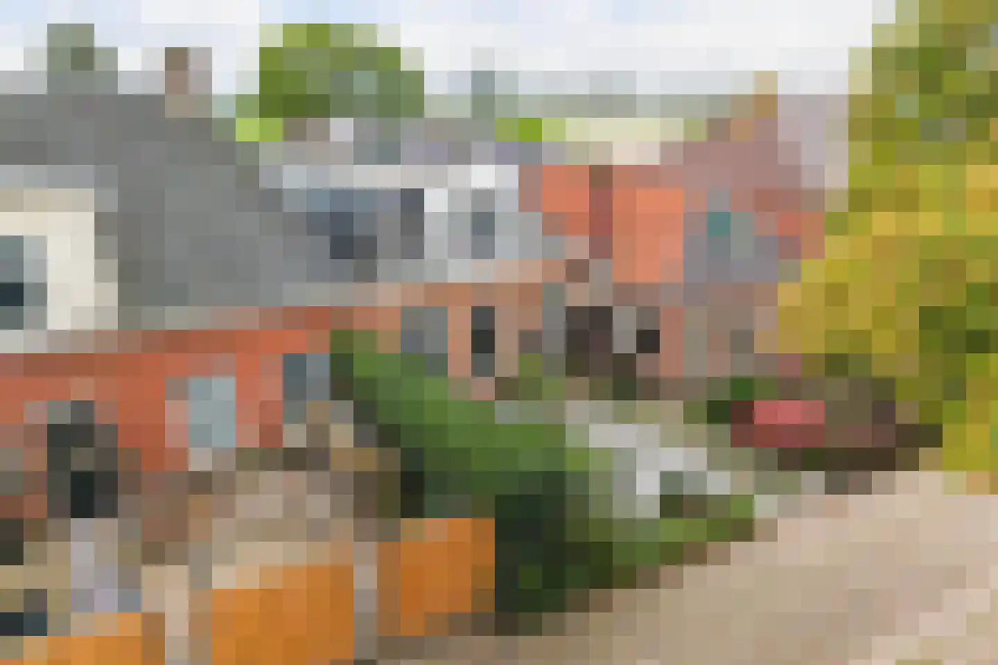Het Breed 14 Stroobos thumbnail 10