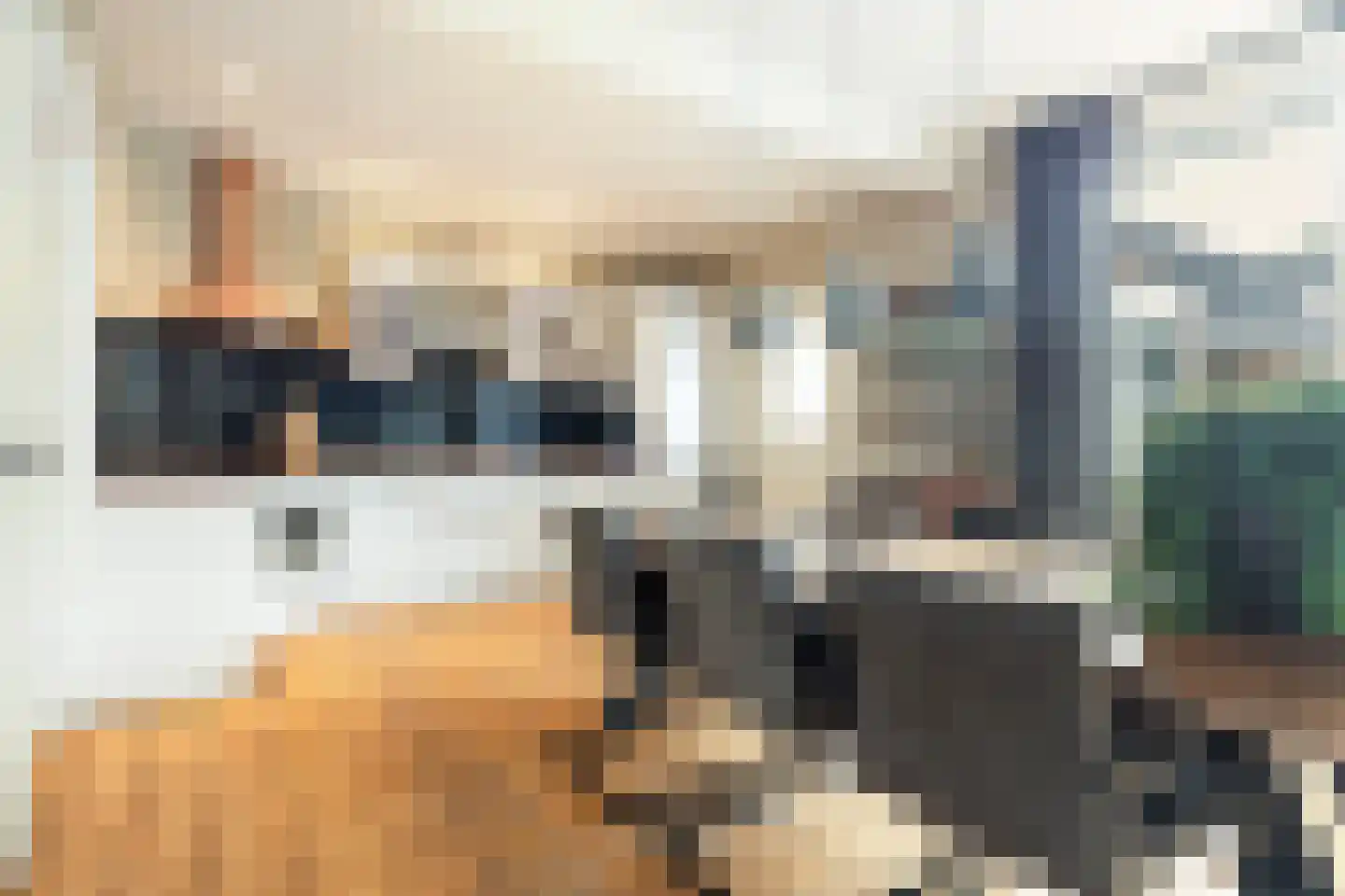 Het Breed 14 Stroobos thumbnail 26