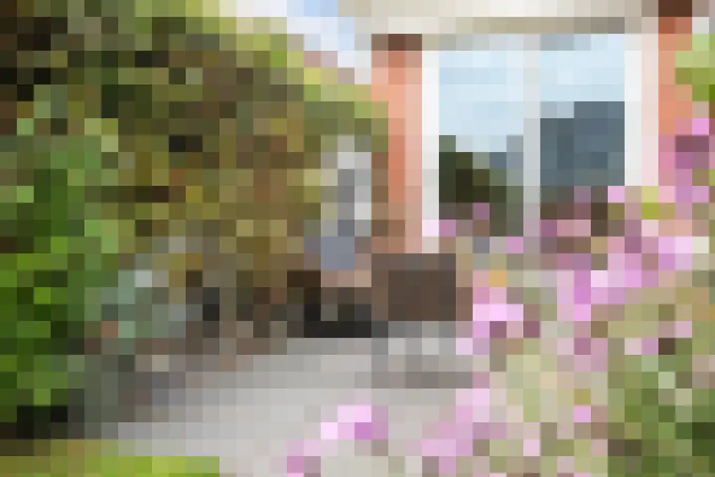 Het Breed 14 Stroobos thumbnail 35