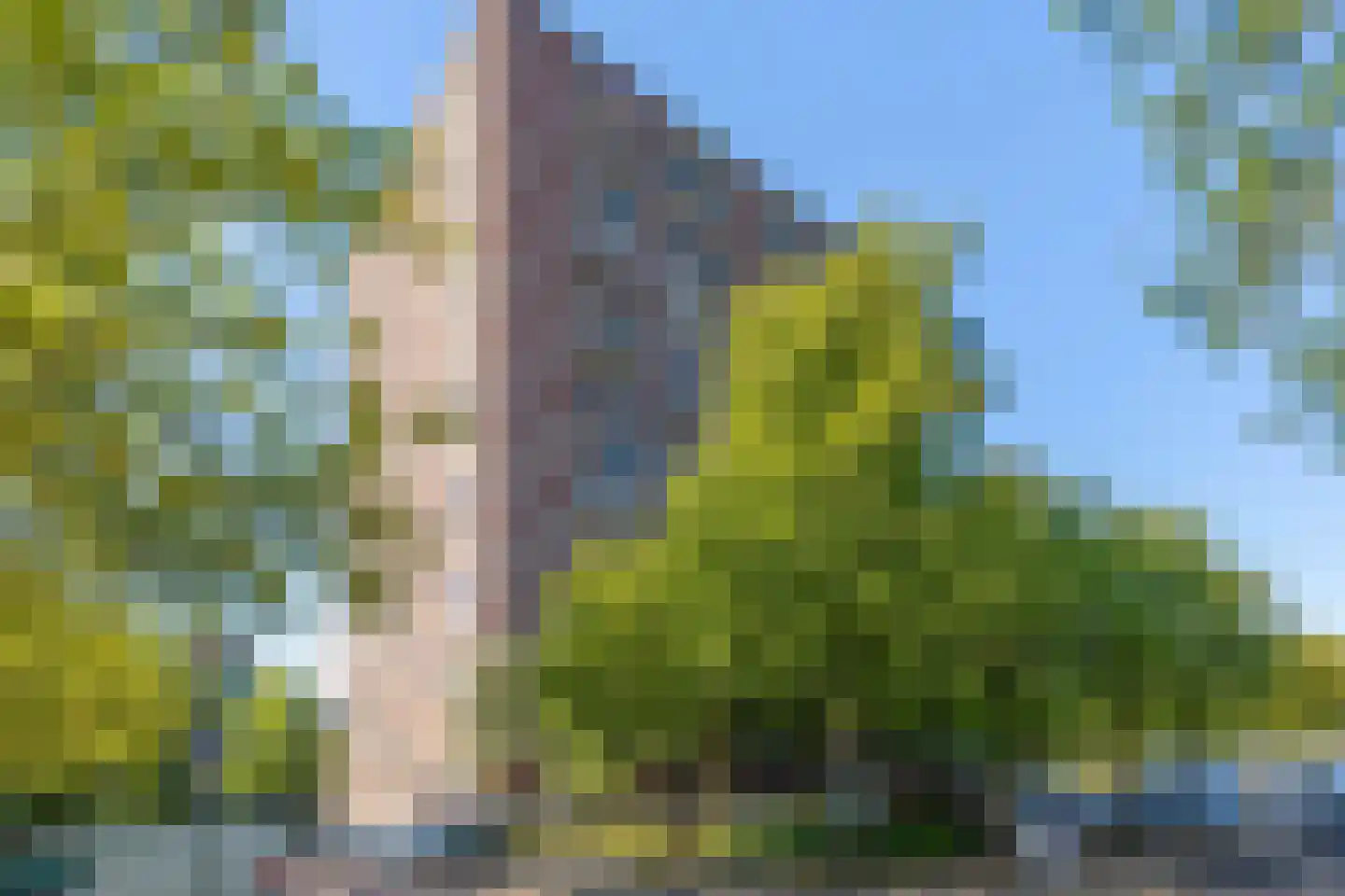 Het Breed 477 in Amsterdam
