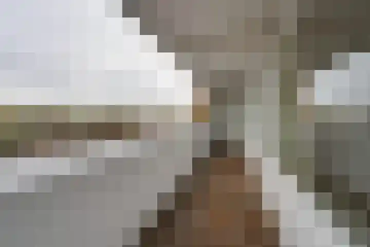 Het Breed 521 Amsterdam thumbnail 20