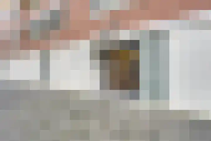Het Breed 521 Amsterdam thumbnail 7