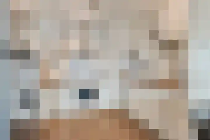 Het Breed 565 Amsterdam thumbnail 6