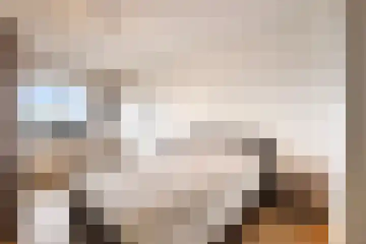 Het Breed 565 Amsterdam thumbnail 9