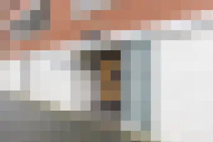 Het Breed 597 Amsterdam thumbnail 33