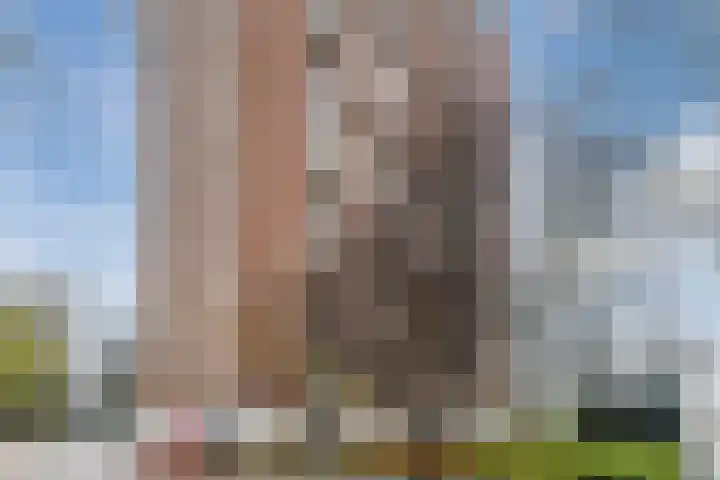 Het Breed 597 Amsterdam thumbnail 38