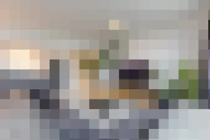 Het Breed 597 Amsterdam thumbnail 6