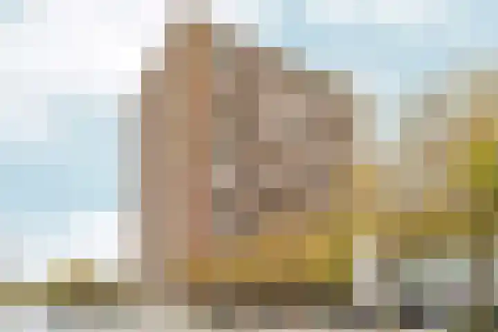 Het Breed 643 Amsterdam thumbnail 22
