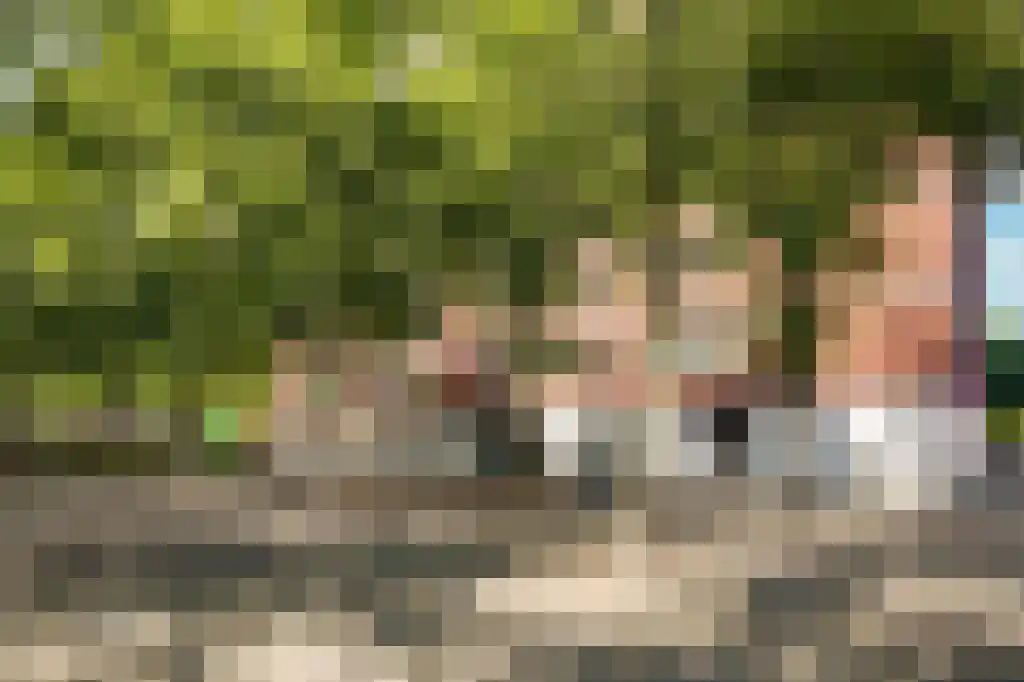 Het Breed 695 Amsterdam thumbnail 5