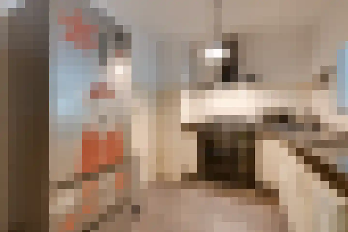 Het Breed 707 Amsterdam thumbnail 19