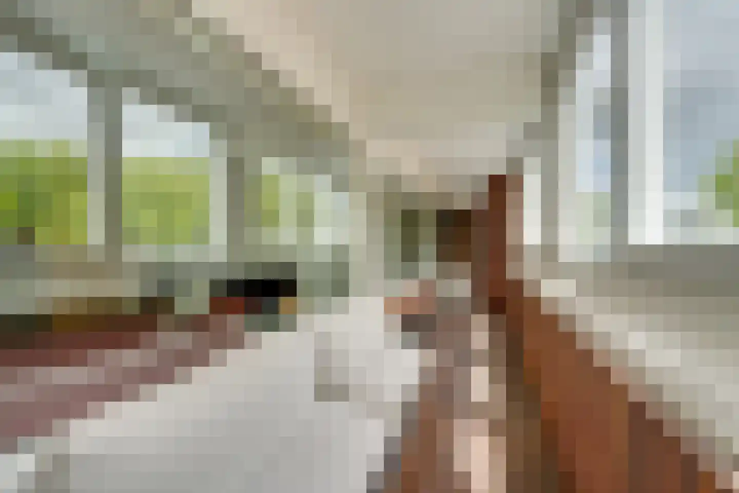 Het Breed 707 Amsterdam thumbnail 25