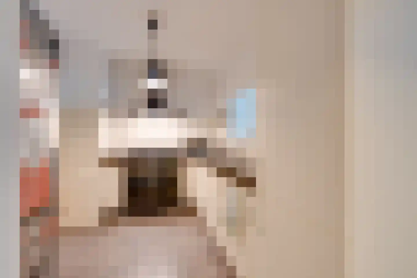 Het Breed 707 Amsterdam thumbnail 4