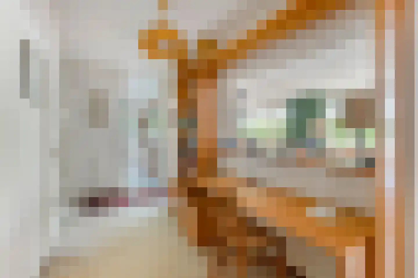 Het Breed 723 Amsterdam thumbnail 9