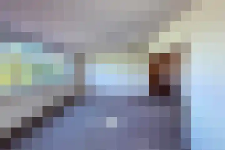 Het Breed 729 Amsterdam thumbnail 4