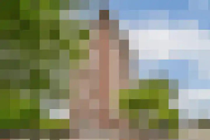 Het Breed 799 Amsterdam thumbnail 5