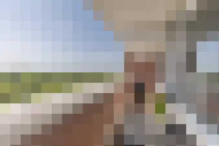 Het Breed 847 Amsterdam thumbnail 15