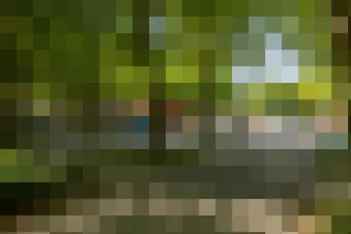 Het Breed 847 Amsterdam thumbnail 24