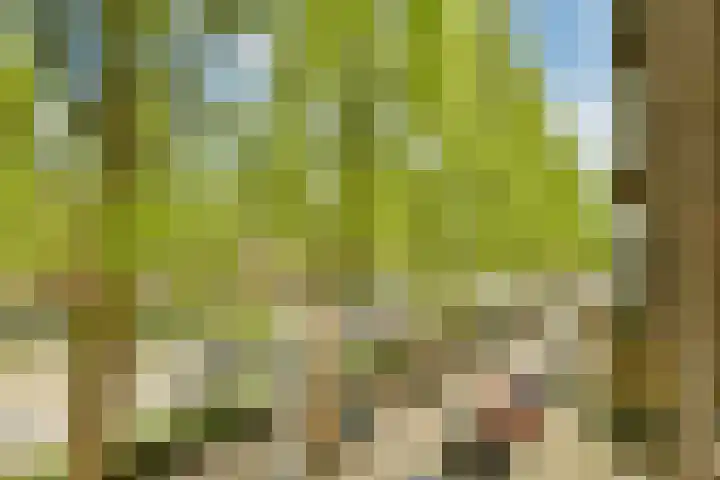 Het Breed 885 Amsterdam thumbnail 8