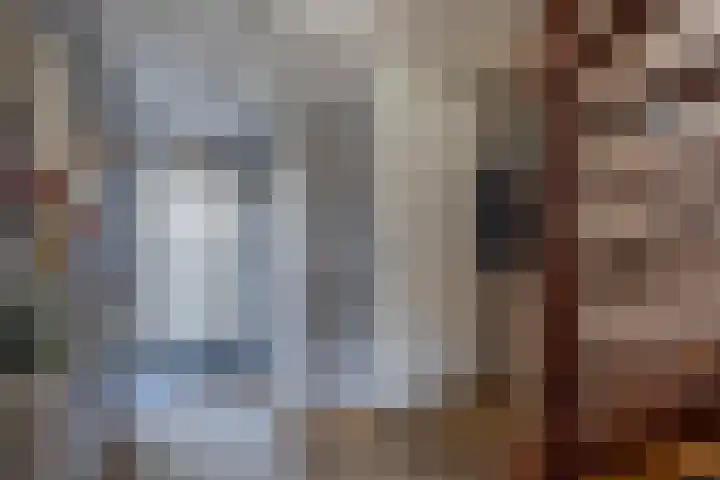 Het Brekkense Wiel 113 Lemmer thumbnail 10