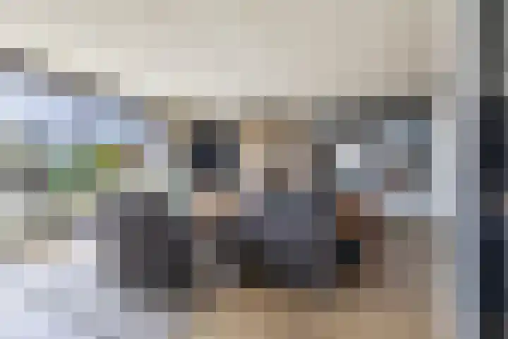 Het Brekkense Wiel 113 Lemmer thumbnail 12