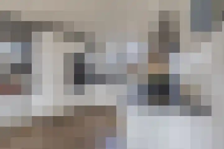 Het Brekkense Wiel 113 Lemmer thumbnail 17