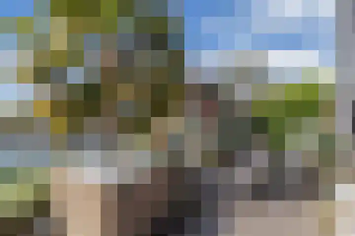 Het Brekkense Wiel 113 Lemmer thumbnail 22